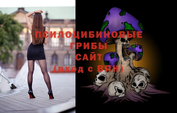 гидра Аркадак