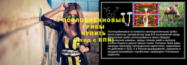 гидра Аркадак