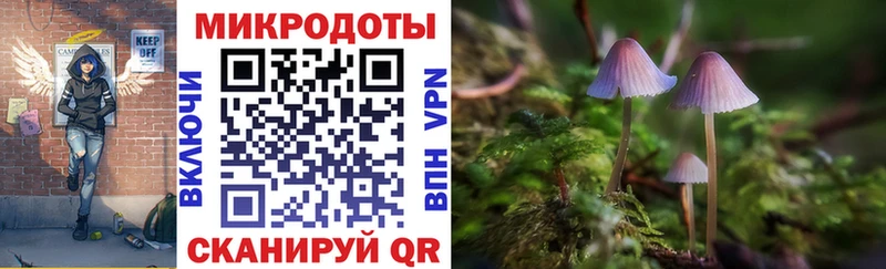 Галлюциногенные грибы прущие грибы Сертолово