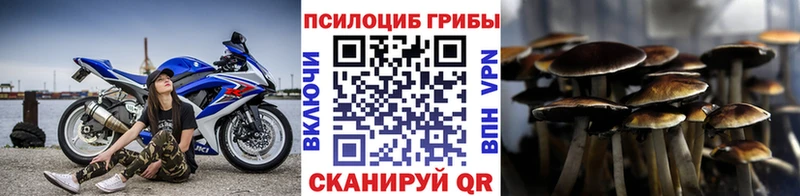 где купить наркоту  Сертолово  Галлюциногенные грибы мицелий 